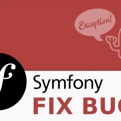 Image Je vais corriger le bug de votre site sous symfony